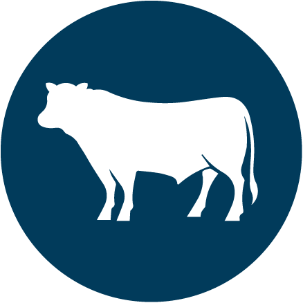 DK Meats - Beef