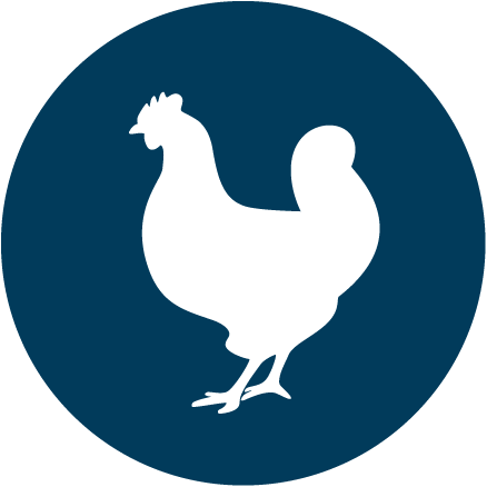 DK Meats - Chicken