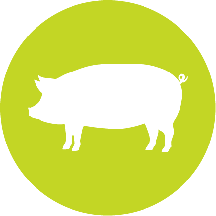 DK Meats - Pork
