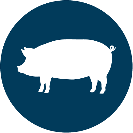 DK Meats - Pork